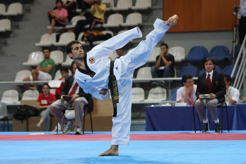 PREMIOS NACIONALES 2010